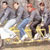 group31